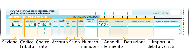 Nell'immagine è evidenziato dove compilare il modello F24 semplificato